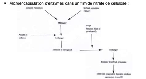 Chapitre 6 4 Limmobilisation Des Enzymes Par « Encapsulation