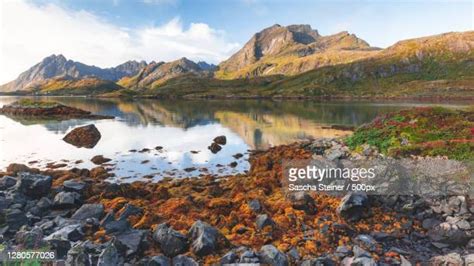 56 Moskenes Municipality Stock Photos, High-Res Pictures, and Images - Getty Images