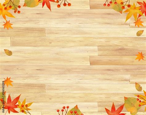 stock vector adobe stock