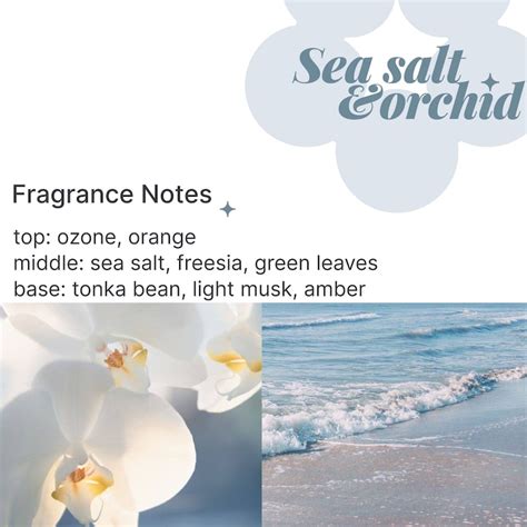 Sea Salt Orchid Hand Poured Scented Soy Candle Travel Oz Candle Black