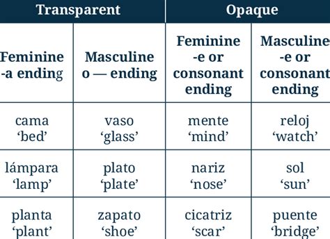 Transparent/opaque masculine and feminine nouns in Spanish | Download ...