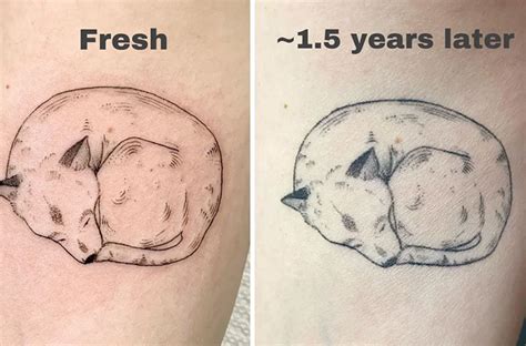 103 Photos Of Aged Tattoos That Show How The Ink Changes Over The Years ...