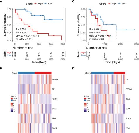 Frontiers Development And Validation Of A 6 Gene Hypoxia Related