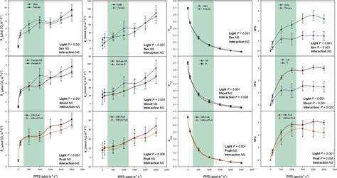 Sex Related Differences During Winter In The CO2 Assimilation Rate A