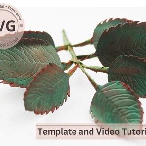 Paper Flower Rose Leaves Template Rose Leaves Digital Svg Video