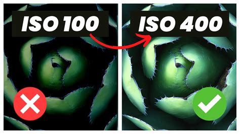 What Is ISO And Why It Doesn T Matter For Landscape Photography YouTube