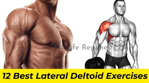 Anterior Deltoid Muscle Exercises