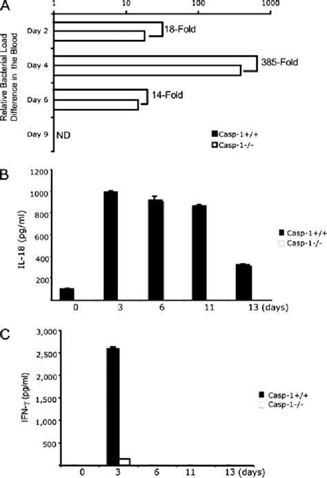 Figure From Asc Pycard And Caspase Regulate The Il Ifn Axis