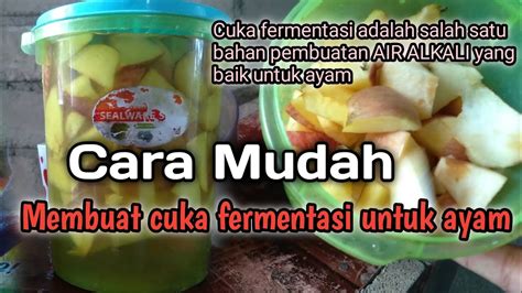 Cara Membuat Cuka Fermentasi Youtube