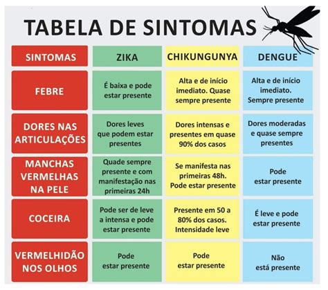 Entenda Os Sintomas Da Dengue Chigungunya E V Trus Zika