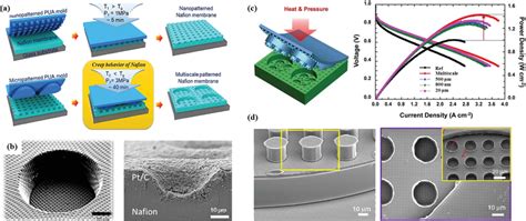 A Schematic Of Multiscale Nafion Membrane Fabrication Imprinting