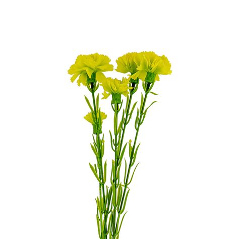 Clavel artificial plástico 60cm | Pequeño Mundo