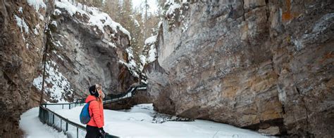 Hike Johnston Canyon Icewalk Discover Banff Tours