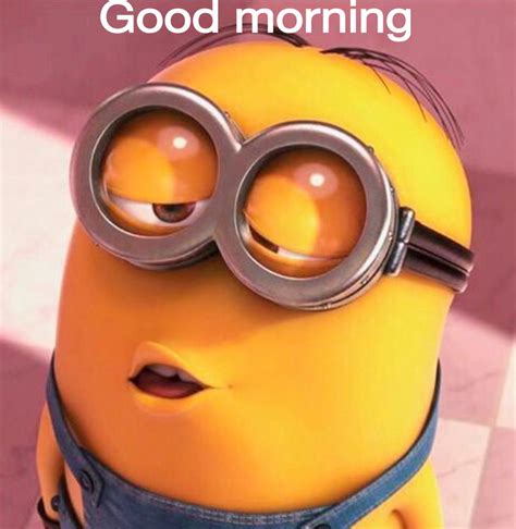 Good Morning Minion  Minions Minion Kiss