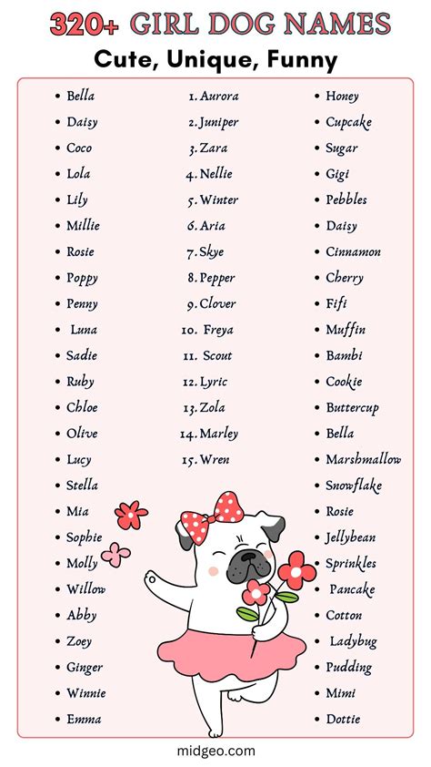 puppy names ideas puppy names girl dog names cute names  dogs