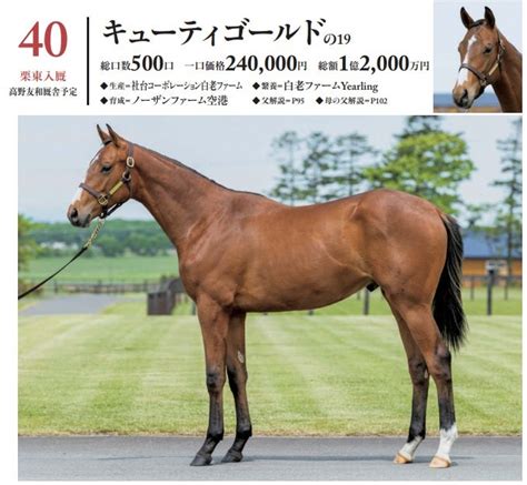 宝塚記念当日の新馬戦に期待のディープ産駒集結 ぐりぐり君の個人馬主ブログ