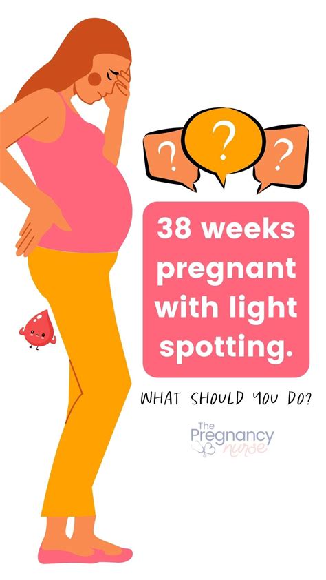 Light Pink Spotting Discharge At 38 Weeks Pregnant The Pregnancy Nurse®