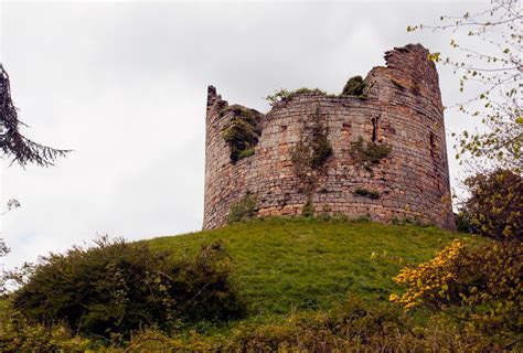 Hawarden: A Castle and Its Dogs - Public Books