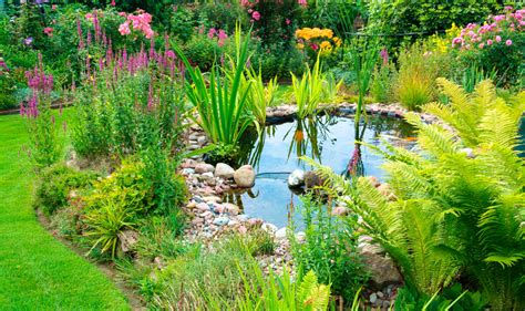 Le rôle des mares La Loupiote Agriculture naturelle Permaculture