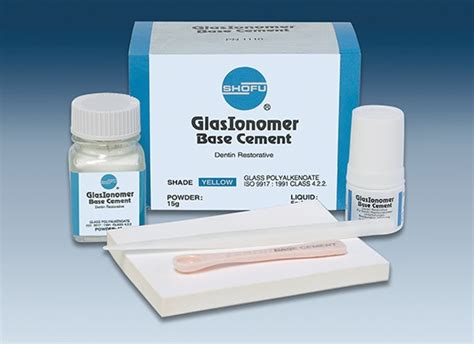 Luting Cement Glass Ionomer P L Luting Cement Glass Ionomer P L