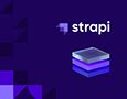 Strapi Open Source Headless Cms Behance