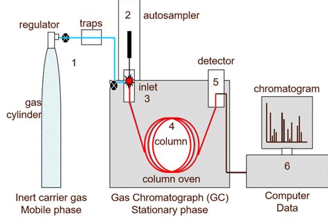 gas chromatography mass spectrometry work