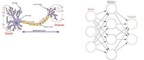 NLP Essential Guide Convolutional Neural Network For Sentence