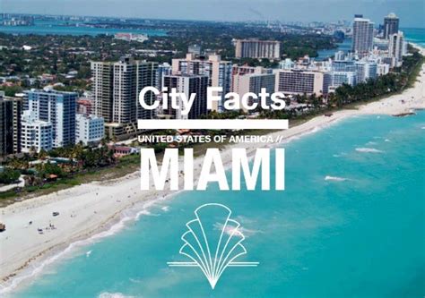 The Magic City Miami Infographic ‹ Ef Go Blog Ef Global Site English