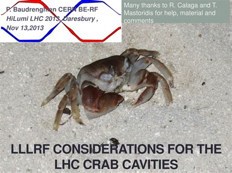 Ppt Lllrf Considerations For The Lhc Crab Cavities Powerpoint