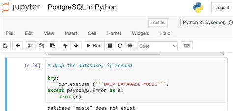 How To Connect And Use PostgreSQL In Python TipsMake