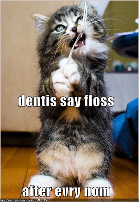 Floss The Ones You Want To Keep Dental Fun Dental Humor Dentist