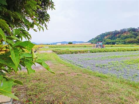 農地土城方正農地近后里中科台中市外埔區土城路 樂屋網 土地買賣