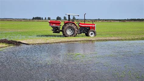 Expliquei E Mostrei Como Faz Pra Irrigar O Arroz E Jogar Adubo E Fechar