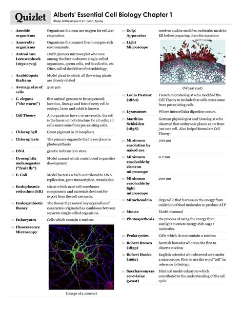 Essential Cell Biology Begrippen Ecb H1 6 Aerobic Organisms