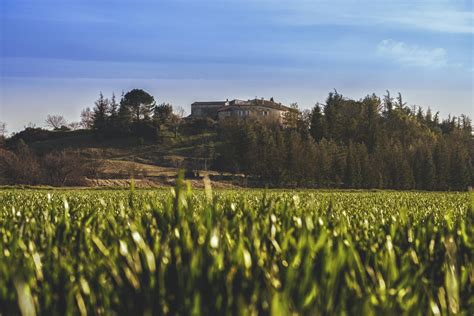 Free Images : landscape, tree, nature, horizon, mountain, cloud, plant ...