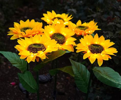 Sunflower Solar Led Lights