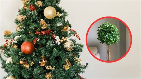 Que se puede poner en lugar de árbol de Navidad 3 alternativas