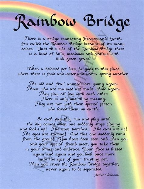 Poem Rainbow Bridge For Dogs Rainbow Bridge Rainbow Bridge Poem