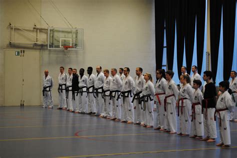 Entra Nement Tuls Avec Les Ma Tres Ecole Bushido Jambes Taekwon Do