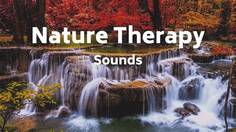 Trickling Water Sounds For Sleep Soothing Birds Singing Nature