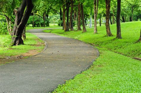 Road and garden stock image. Image of green, sign, hilly - 20497339