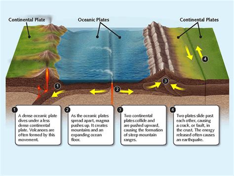 Geo Activity 2 1 2 Tectonic Plate Movements Diagram Quizlet