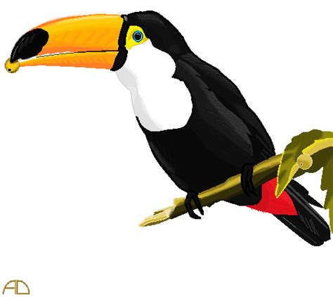 Toucan Drawing, Pencil, Sketch, Colorful, Realistic Art Images | Drawing Skill