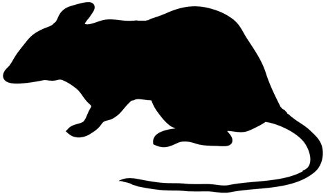 mouse animal cliparts   mouse animal cliparts png