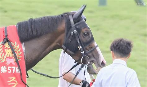 👑🐴高松宮記念2024 ＆ 🐴メイケイエール引退式 ぽんぽこ日記