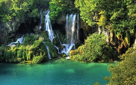 Hd Wallpaper Waterfall In The Jungle Natural Scenery Widescreen