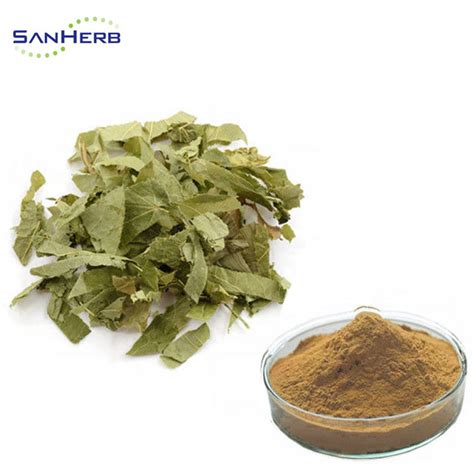 Natural Epimedium Extract Powder Horny Goat Weed Extract Powder