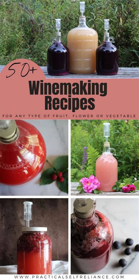 50 Winemaking Recipes For Homemade Wine From Any Fruit — Practical Self Reliance