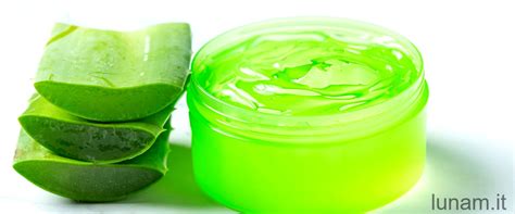 Come Estrarre Il Gel Dalle Foglie Di Aloe Guida Pratica