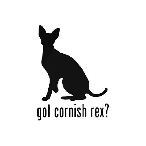 Buy Got Cornish Rex Cat Online